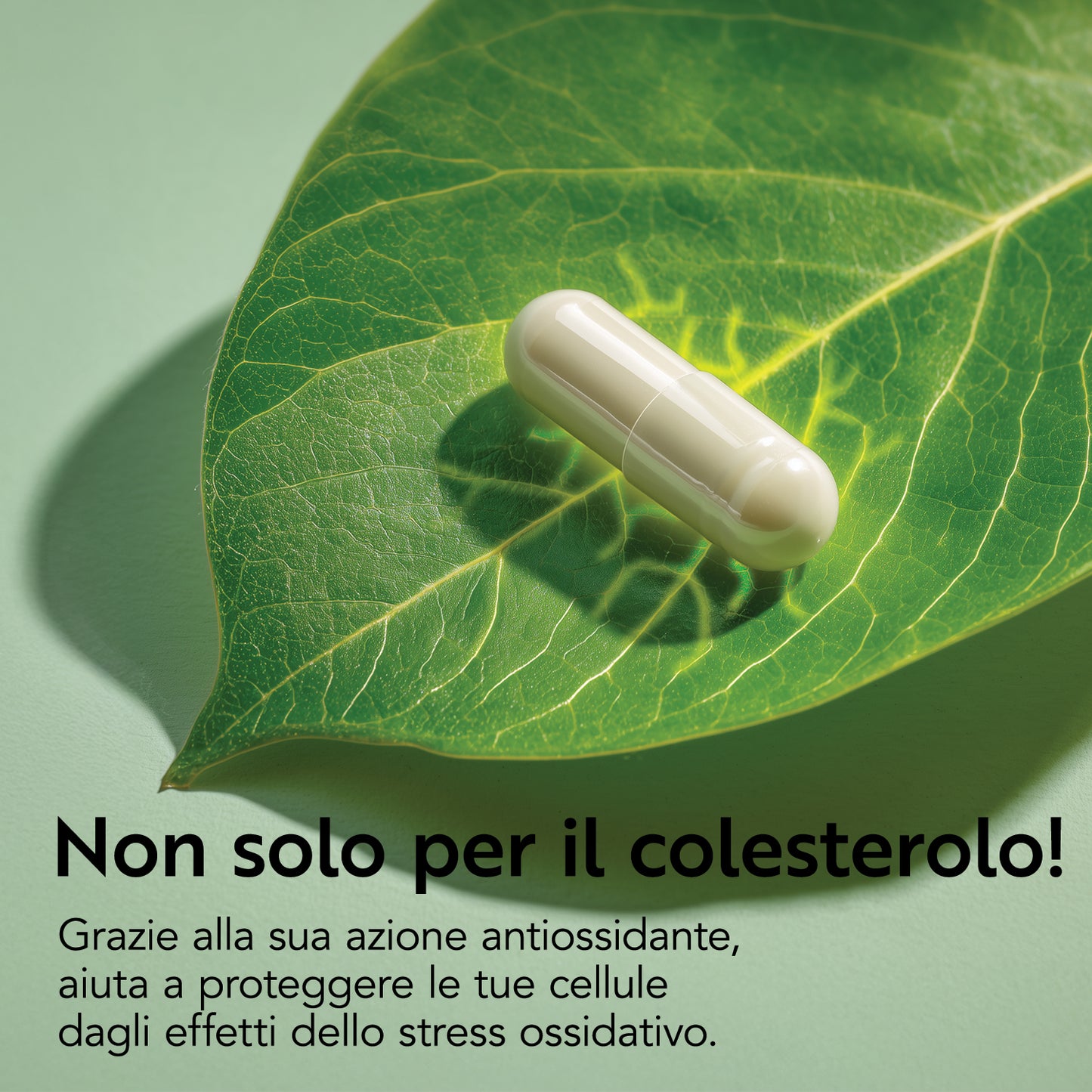 Colesterolo Evo
