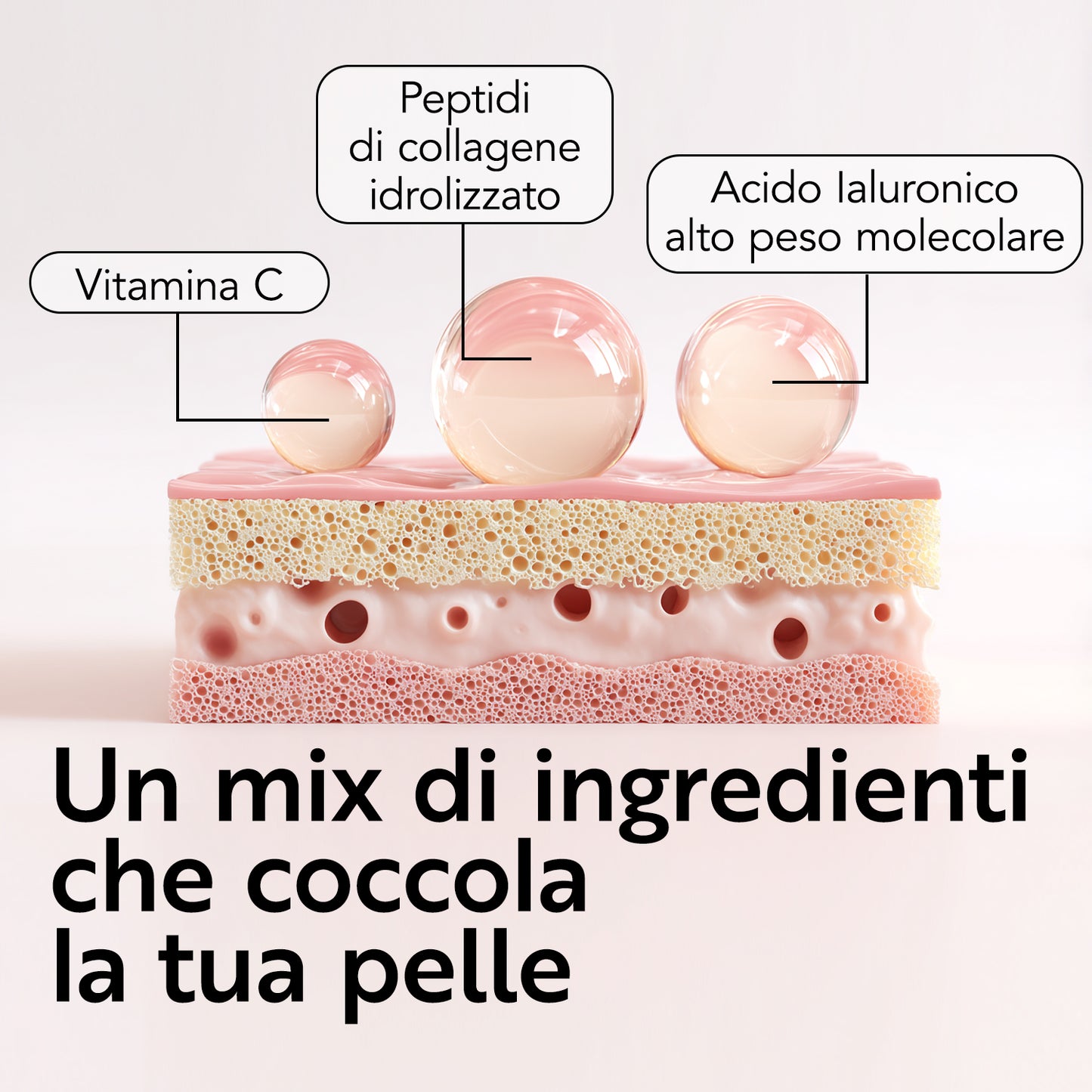Peptidi di Collagene Idrolizzato