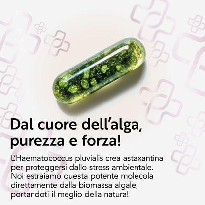 Astaxantina