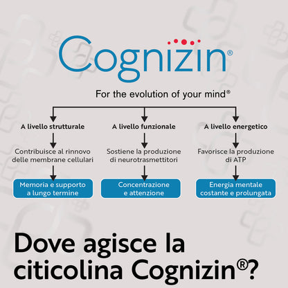 Citicolina Cognizin