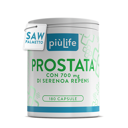 Prostata